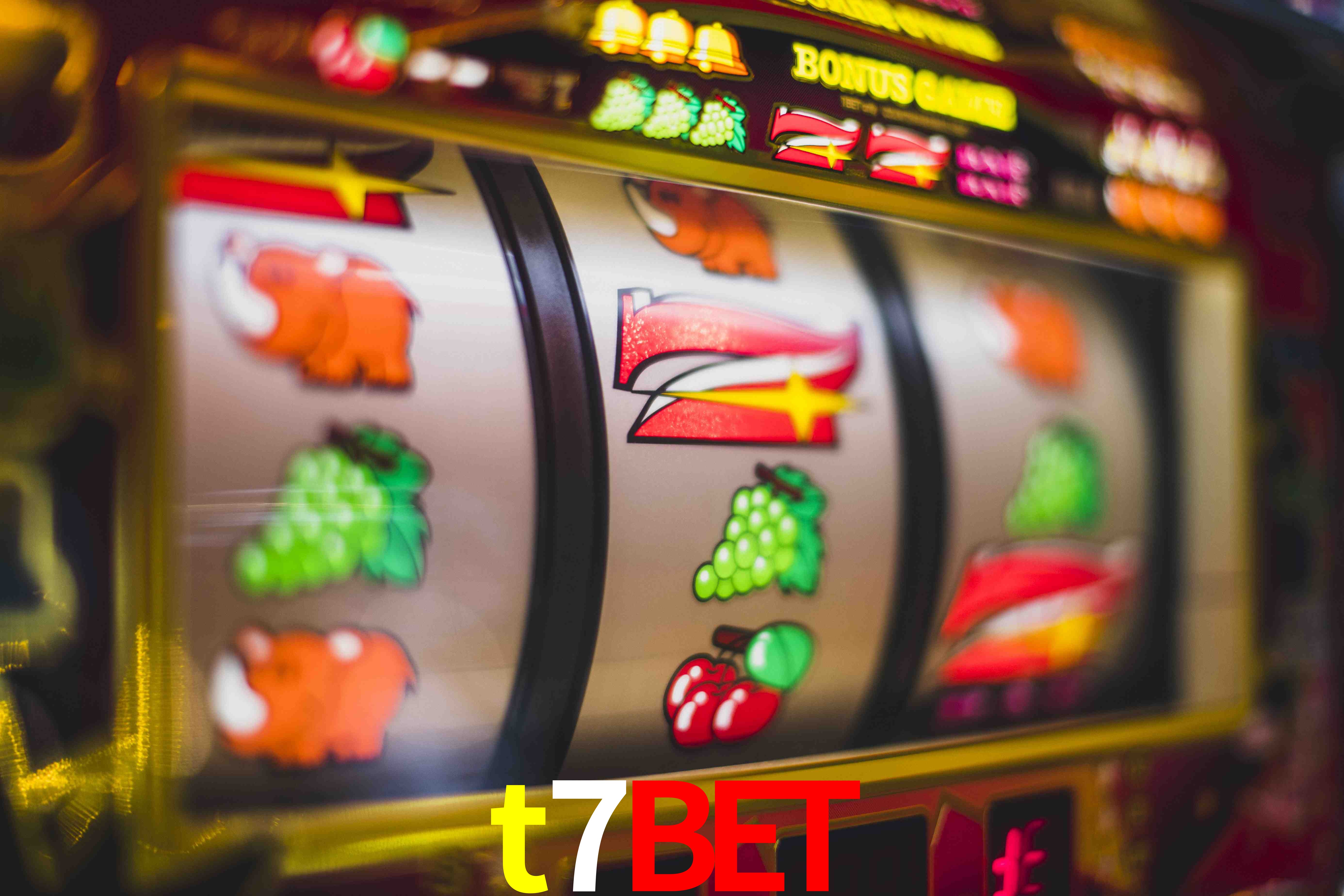 Live Casino t7bet